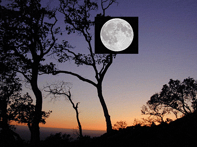 moon over tree branches without tweaking the blend-if parameters